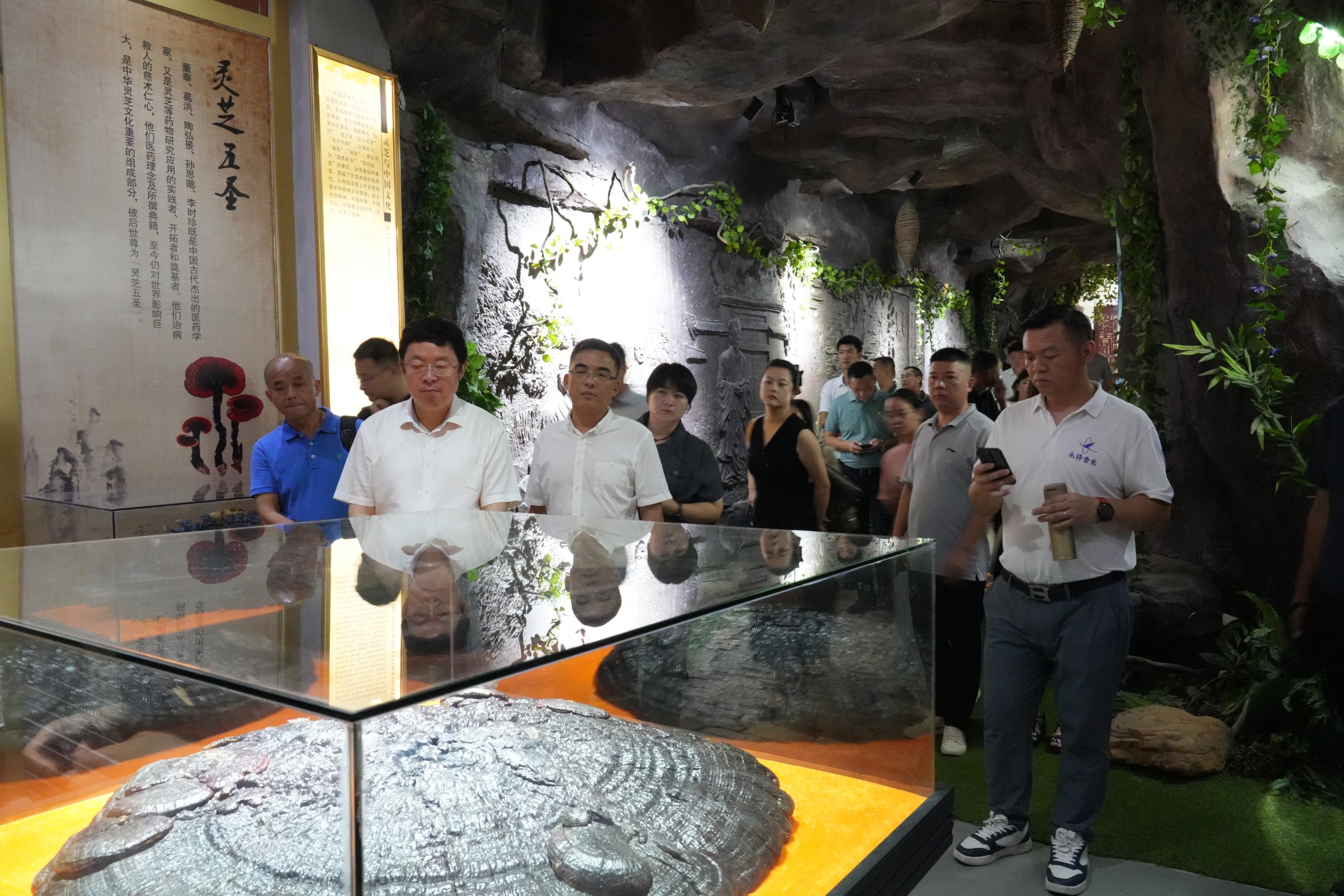 杭州亞運會官方靈芝產(chǎn)品供應商|杭州亞運會官方供應商|中國靈芝十大品牌|仙客來靈芝|仙客來靈芝破壁孢子粉|仙客來孢子油|仙客來靈芝飲片|仙客來破壁孢子粉|靈芝孢子油|孢子粉|靈芝破壁孢子粉|靈芝|中華老字號