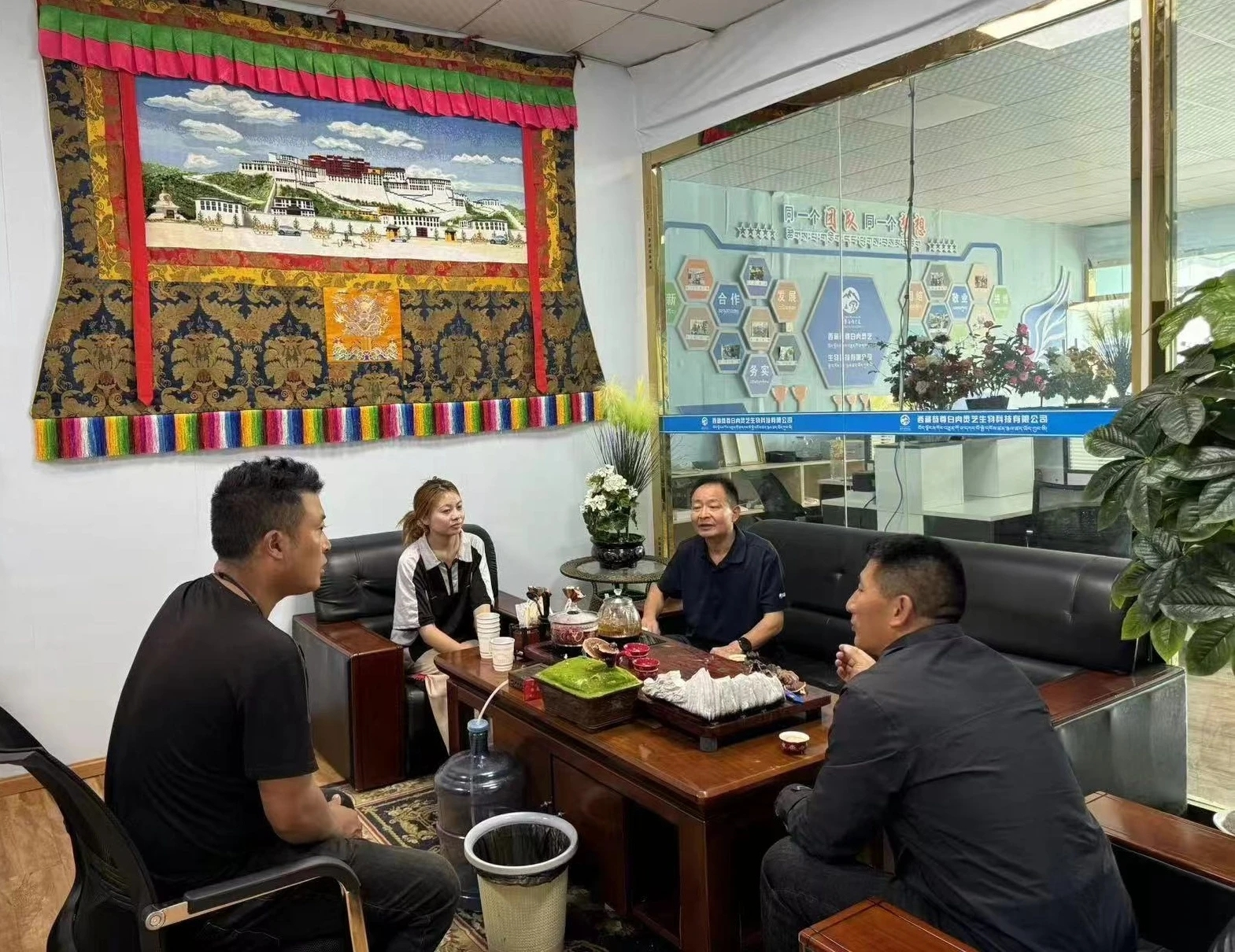 杭州亞運會官方靈芝產(chǎn)品供應商|杭州亞運會官方供應商|中國靈芝十大品牌|仙客來靈芝|仙客來靈芝破壁孢子粉|仙客來孢子油|仙客來靈芝飲片|仙客來破壁孢子粉|靈芝孢子油|孢子粉|靈芝破壁孢子粉|靈芝|中華老字號