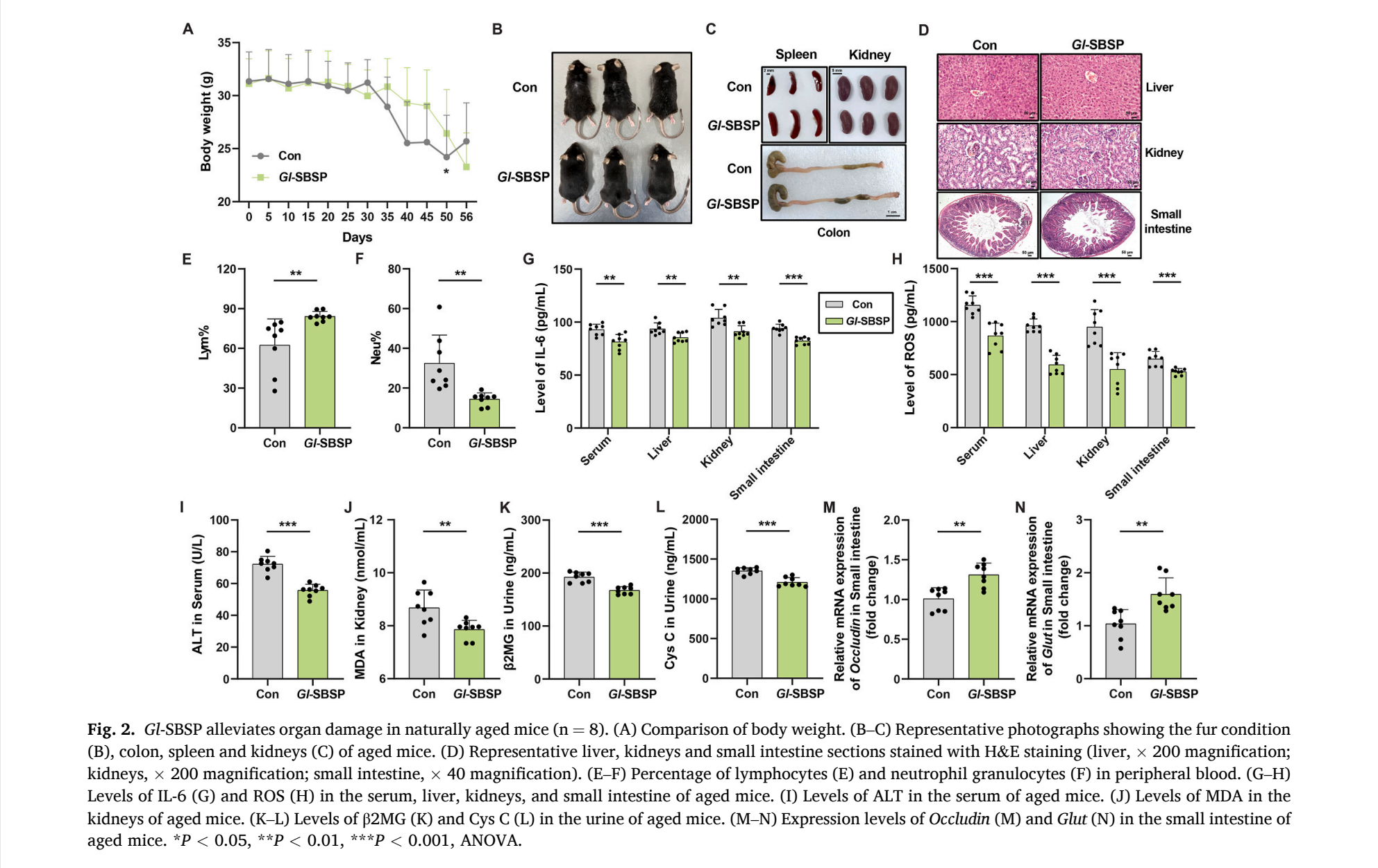 杭州亞運會官方靈芝產品供應商|杭州亞運會官方供應商|中國靈芝十大品牌|仙客來靈芝|仙客來靈芝破壁孢子粉|仙客來孢子油|仙客來靈芝飲片|仙客來破壁孢子粉|靈芝孢子油|孢子粉|靈芝破壁孢子粉|靈芝|中華老字號