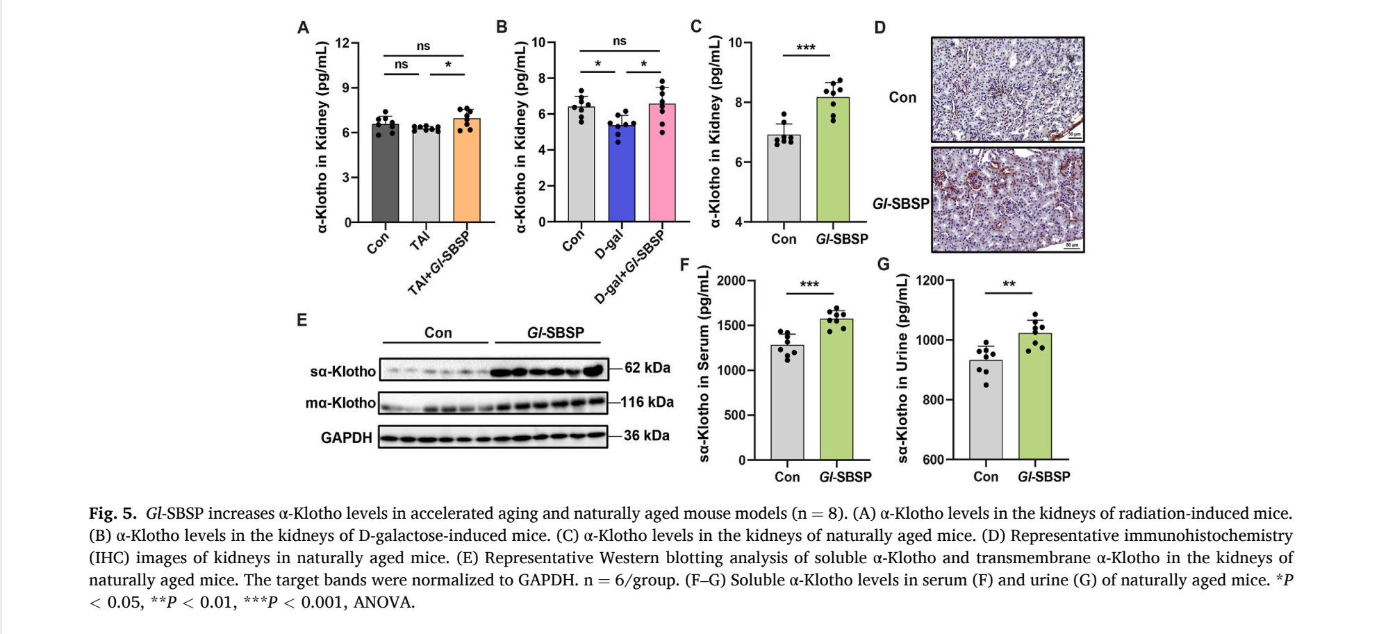 杭州亞運會官方靈芝產品供應商|杭州亞運會官方供應商|中國靈芝十大品牌|仙客來靈芝|仙客來靈芝破壁孢子粉|仙客來孢子油|仙客來靈芝飲片|仙客來破壁孢子粉|靈芝孢子油|孢子粉|靈芝破壁孢子粉|靈芝|中華老字號