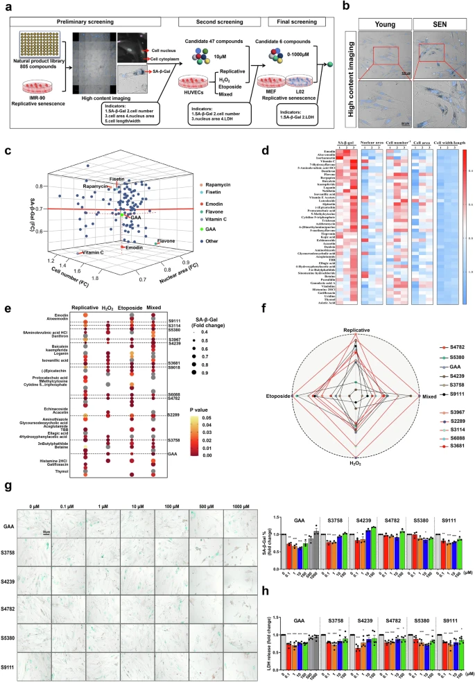 杭州亞運(yùn)會(huì)官方靈芝產(chǎn)品供應(yīng)商|杭州亞運(yùn)會(huì)官方供應(yīng)商|中國(guó)靈芝十大品牌|仙客來靈芝|仙客來靈芝破壁孢子粉|仙客來孢子油|仙客來靈芝飲片|仙客來破壁孢子粉|靈芝孢子油|孢子粉|靈芝破壁孢子粉|靈芝|中華老字號(hào)
