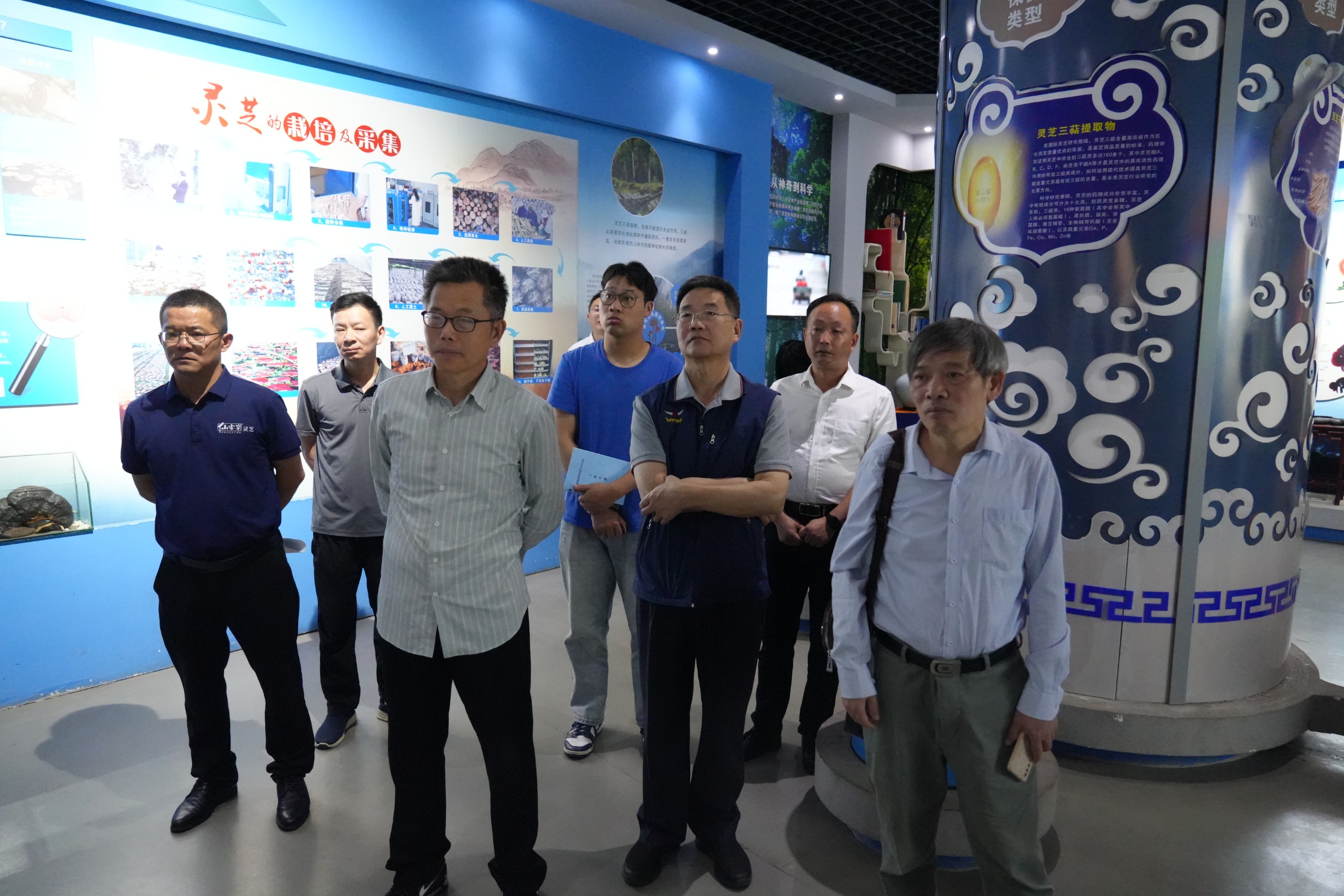 杭州亞運會官方靈芝產(chǎn)品供應(yīng)商|杭州亞運會官方供應(yīng)商|中國靈芝十大品牌|仙客來靈芝|仙客來靈芝破壁孢子粉|仙客來孢子油|仙客來靈芝飲片|仙客來破壁孢子粉|靈芝孢子油|孢子粉|靈芝破壁孢子粉|靈芝|中華老字號