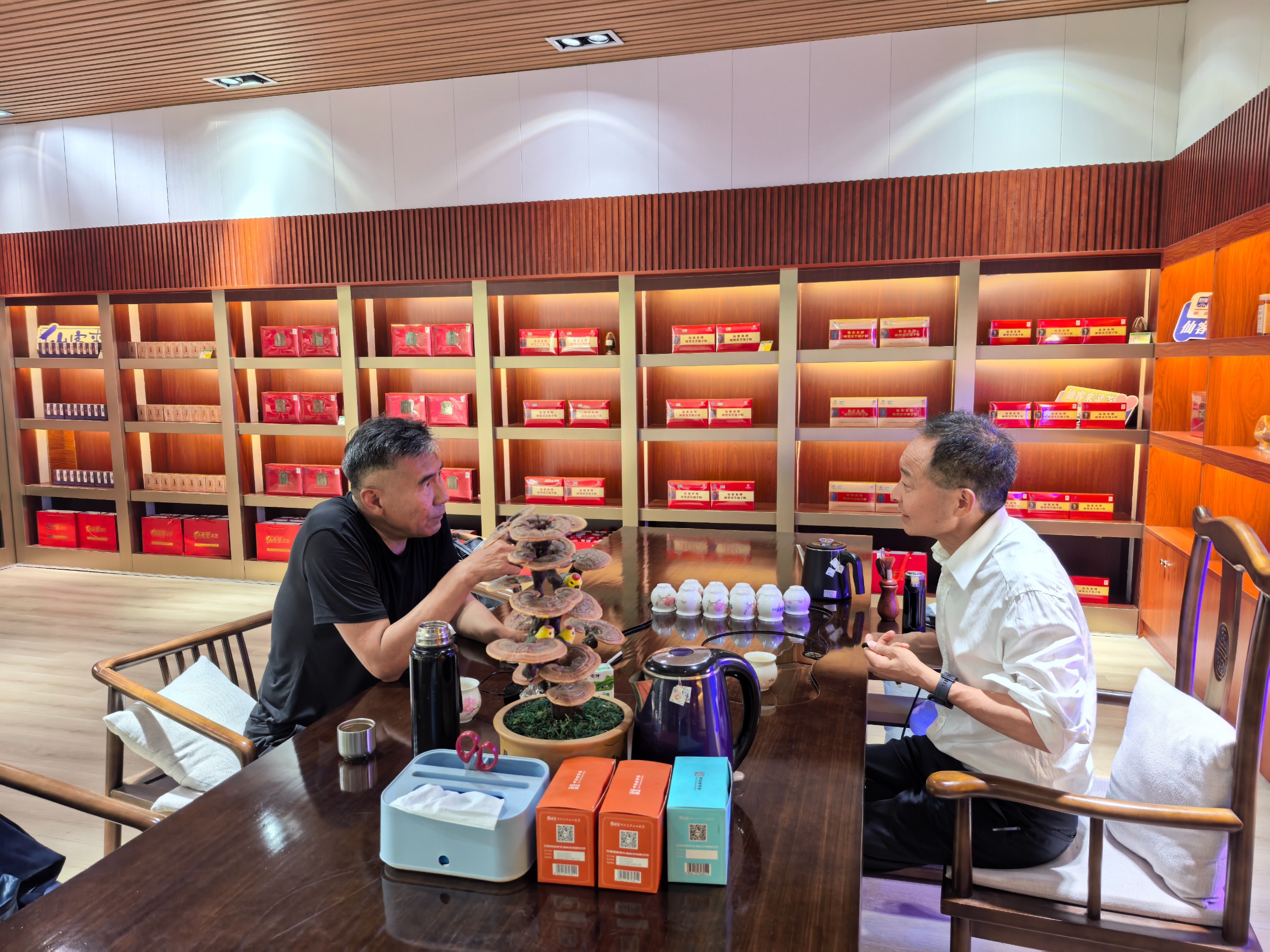 杭州亞運(yùn)會(huì)官方靈芝產(chǎn)品供應(yīng)商|杭州亞運(yùn)會(huì)官方供應(yīng)商|中國靈芝十大品牌|仙客來靈芝|仙客來靈芝破壁孢子粉|仙客來孢子油|仙客來靈芝飲片|仙客來破壁孢子粉|靈芝孢子油|孢子粉|靈芝破壁孢子粉|靈芝|中華老字號(hào)