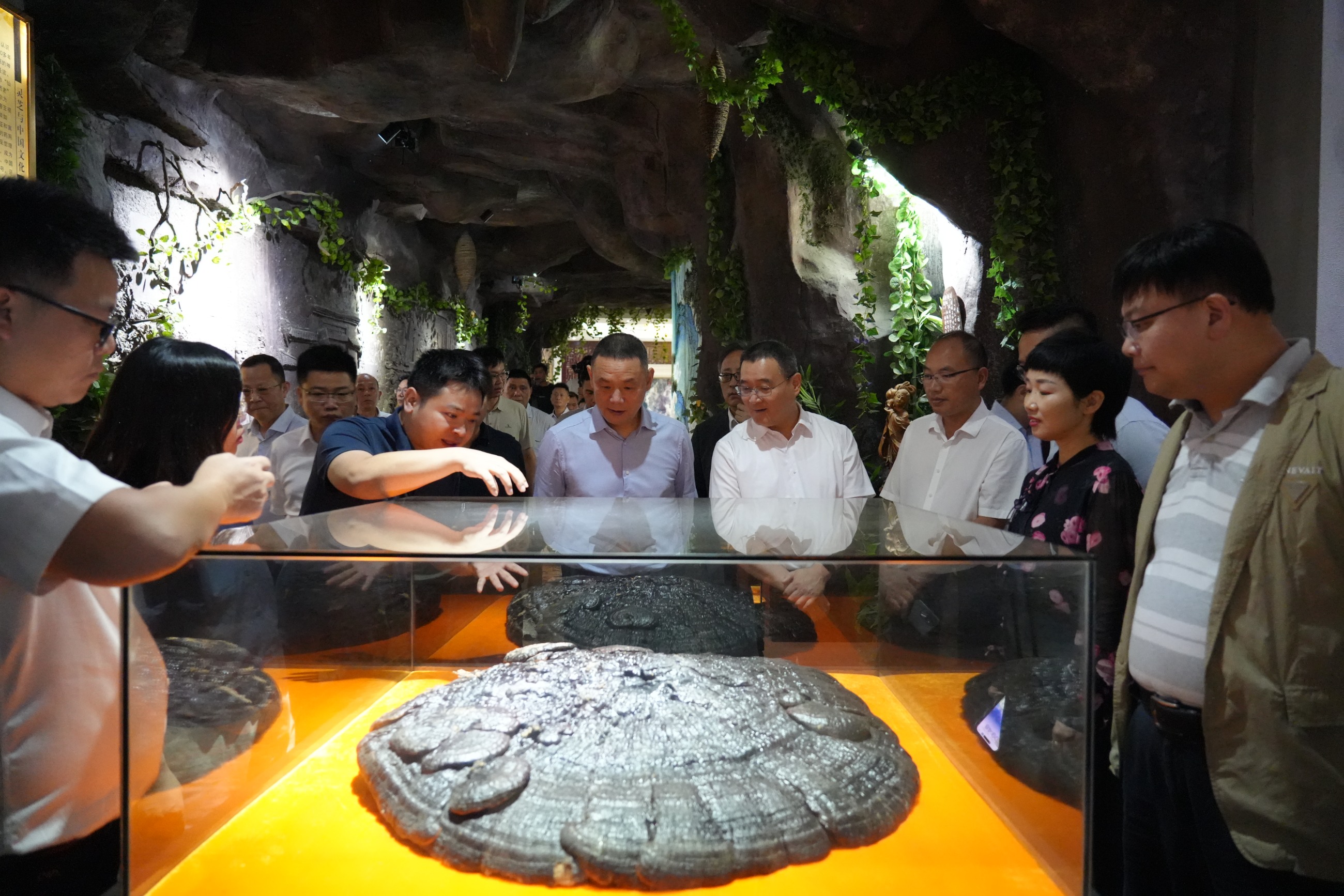 杭州亞運(yùn)會官方靈芝產(chǎn)品供應(yīng)商|杭州亞運(yùn)會官方供應(yīng)商|中國靈芝十大品牌|仙客來靈芝|仙客來靈芝破壁孢子粉|仙客來孢子油|仙客來靈芝飲片|仙客來破壁孢子粉|靈芝孢子油|孢子粉|靈芝破壁孢子粉|靈芝|中華老字號