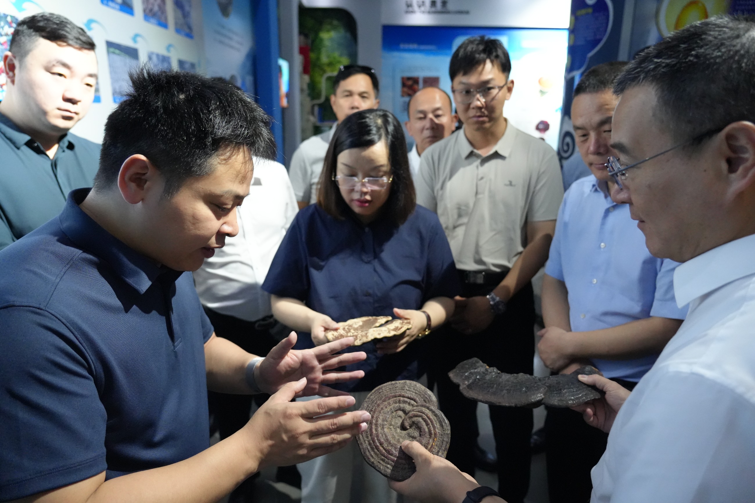 杭州亞運(yùn)會官方靈芝產(chǎn)品供應(yīng)商|杭州亞運(yùn)會官方供應(yīng)商|中國靈芝十大品牌|仙客來靈芝|仙客來靈芝破壁孢子粉|仙客來孢子油|仙客來靈芝飲片|仙客來破壁孢子粉|靈芝孢子油|孢子粉|靈芝破壁孢子粉|靈芝|中華老字號