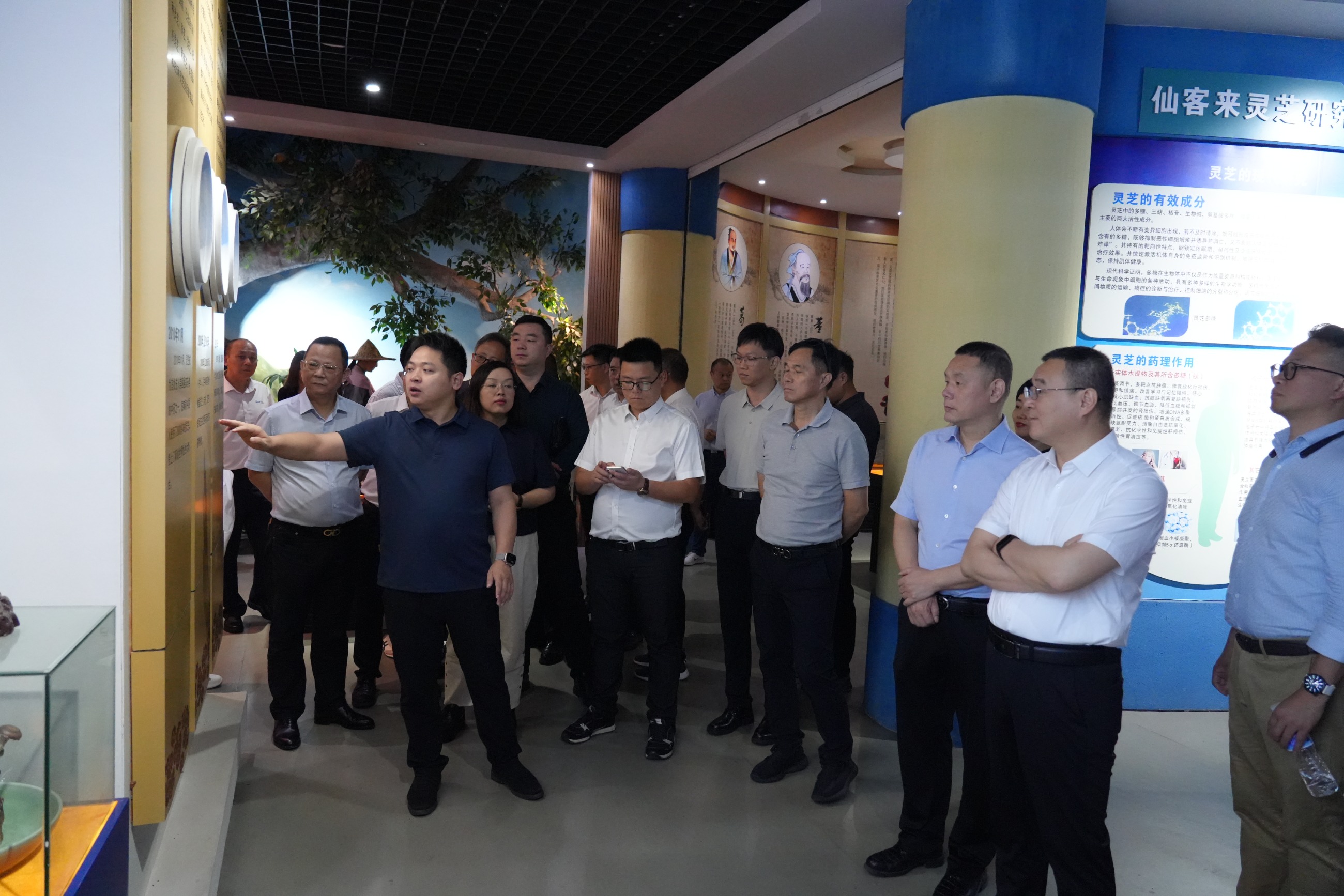 杭州亞運(yùn)會官方靈芝產(chǎn)品供應(yīng)商|杭州亞運(yùn)會官方供應(yīng)商|中國靈芝十大品牌|仙客來靈芝|仙客來靈芝破壁孢子粉|仙客來孢子油|仙客來靈芝飲片|仙客來破壁孢子粉|靈芝孢子油|孢子粉|靈芝破壁孢子粉|靈芝|中華老字號