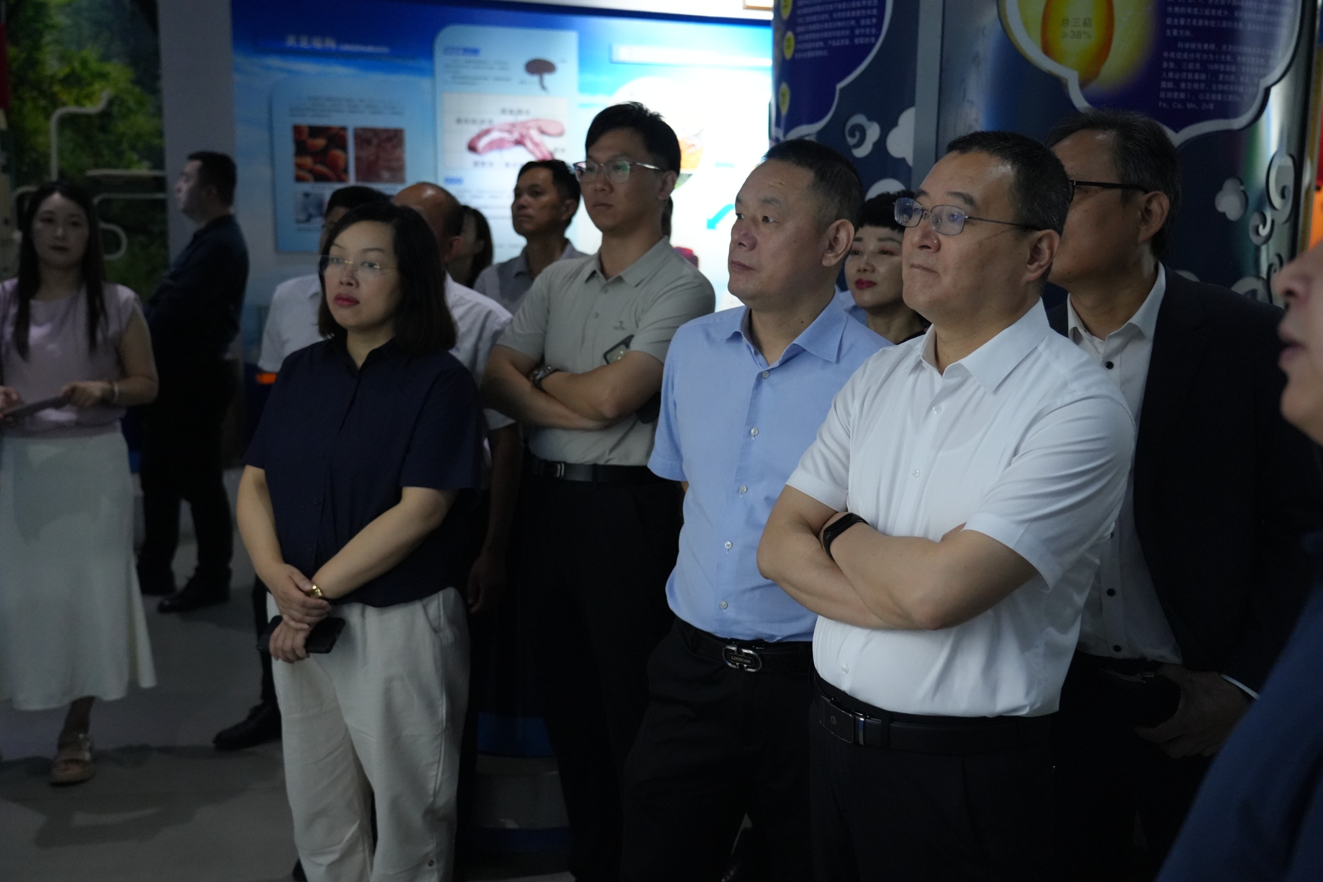 杭州亞運(yùn)會官方靈芝產(chǎn)品供應(yīng)商|杭州亞運(yùn)會官方供應(yīng)商|中國靈芝十大品牌|仙客來靈芝|仙客來靈芝破壁孢子粉|仙客來孢子油|仙客來靈芝飲片|仙客來破壁孢子粉|靈芝孢子油|孢子粉|靈芝破壁孢子粉|靈芝|中華老字號