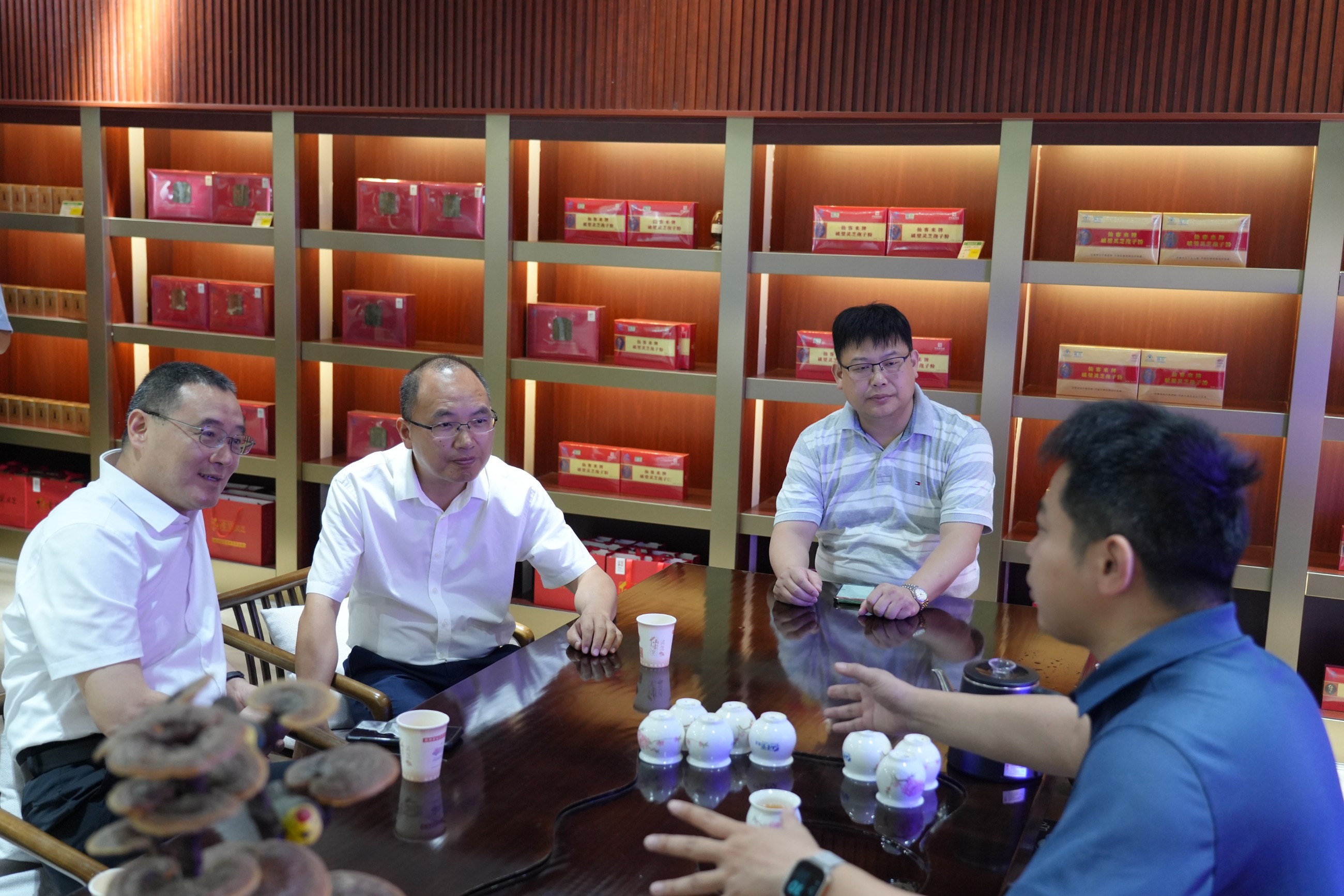 杭州亞運(yùn)會官方靈芝產(chǎn)品供應(yīng)商|杭州亞運(yùn)會官方供應(yīng)商|中國靈芝十大品牌|仙客來靈芝|仙客來靈芝破壁孢子粉|仙客來孢子油|仙客來靈芝飲片|仙客來破壁孢子粉|靈芝孢子油|孢子粉|靈芝破壁孢子粉|靈芝|中華老字號