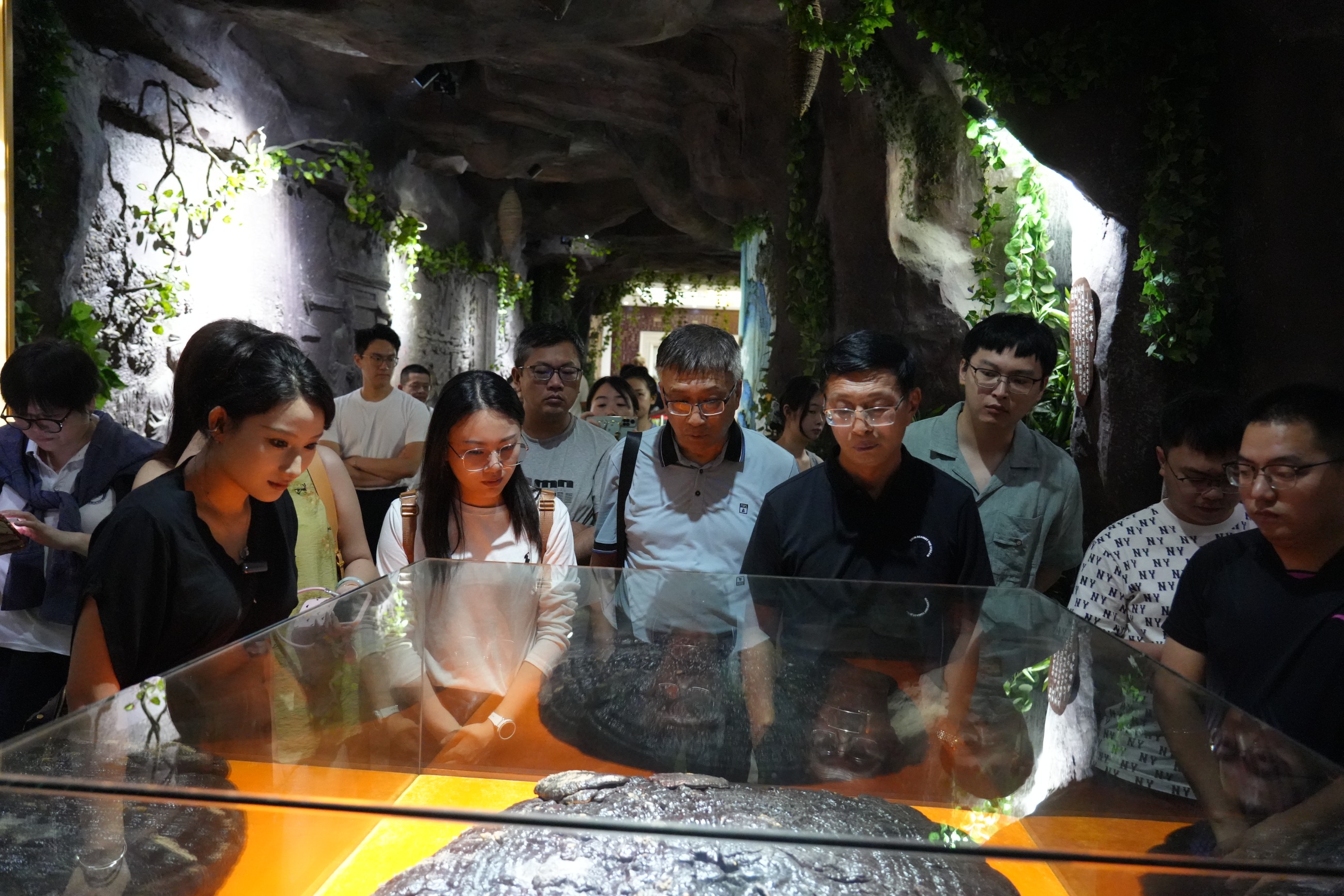 杭州亞運會官方靈芝產(chǎn)品供應(yīng)商|杭州亞運會官方供應(yīng)商|中國靈芝十大品牌|仙客來靈芝|仙客來靈芝破壁孢子粉|仙客來孢子油|仙客來靈芝飲片|仙客來破壁孢子粉|靈芝孢子油|孢子粉|靈芝破壁孢子粉|靈芝|中華老字號