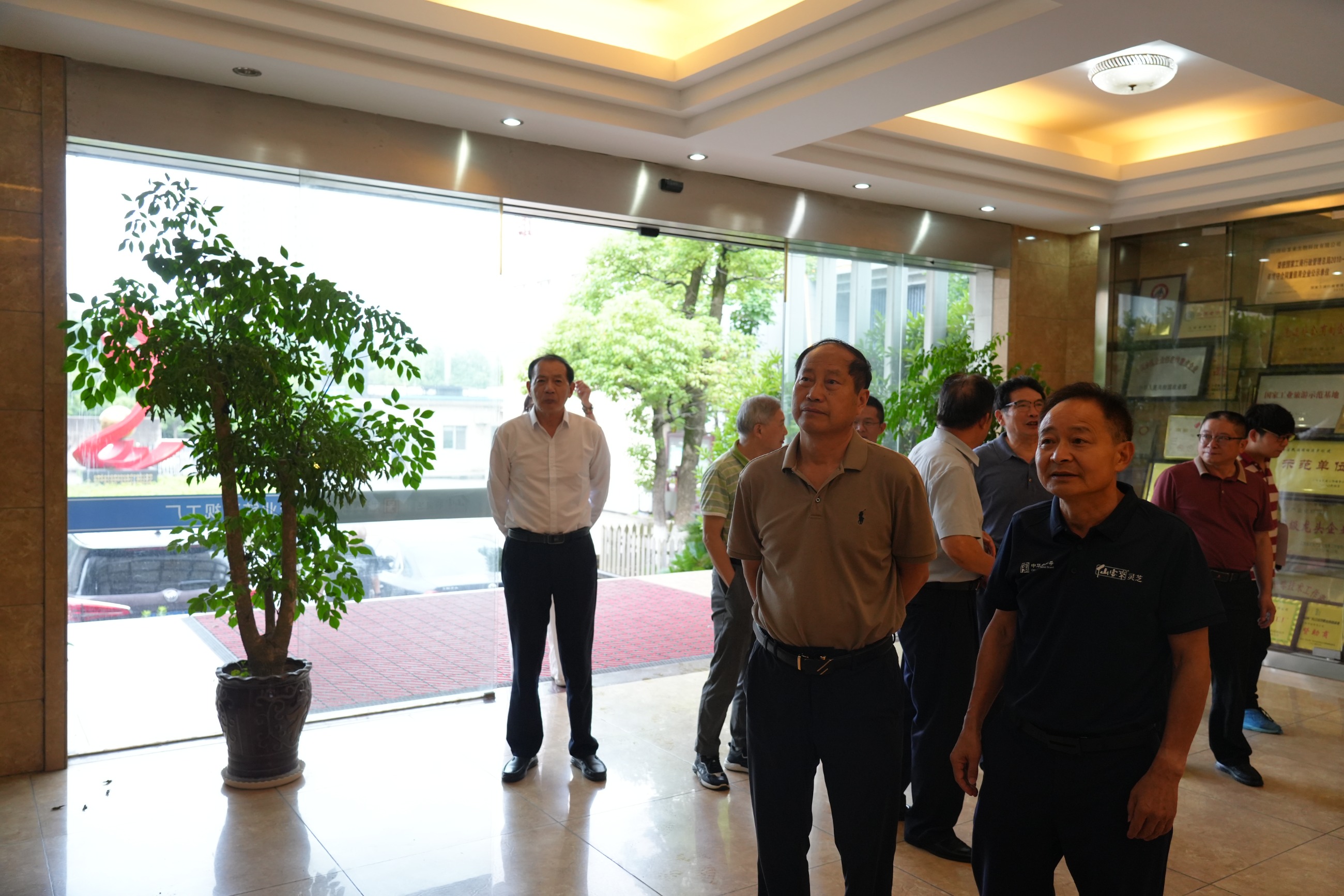 杭州亞運(yùn)會(huì)官方靈芝產(chǎn)品供應(yīng)商|杭州亞運(yùn)會(huì)官方供應(yīng)商|中國靈芝十大品牌|仙客來靈芝|仙客來靈芝破壁孢子粉|仙客來孢子油|仙客來靈芝飲片|仙客來破壁孢子粉|靈芝孢子油|孢子粉|靈芝破壁孢子粉|靈芝|中華老字號(hào)