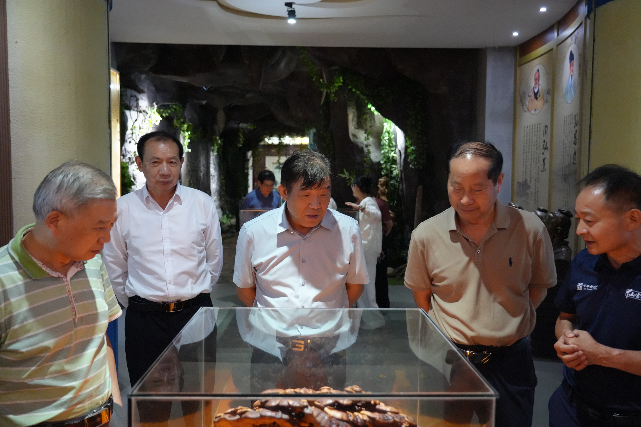 杭州亞運(yùn)會(huì)官方靈芝產(chǎn)品供應(yīng)商|杭州亞運(yùn)會(huì)官方供應(yīng)商|中國靈芝十大品牌|仙客來靈芝|仙客來靈芝破壁孢子粉|仙客來孢子油|仙客來靈芝飲片|仙客來破壁孢子粉|靈芝孢子油|孢子粉|靈芝破壁孢子粉|靈芝|中華老字號(hào)