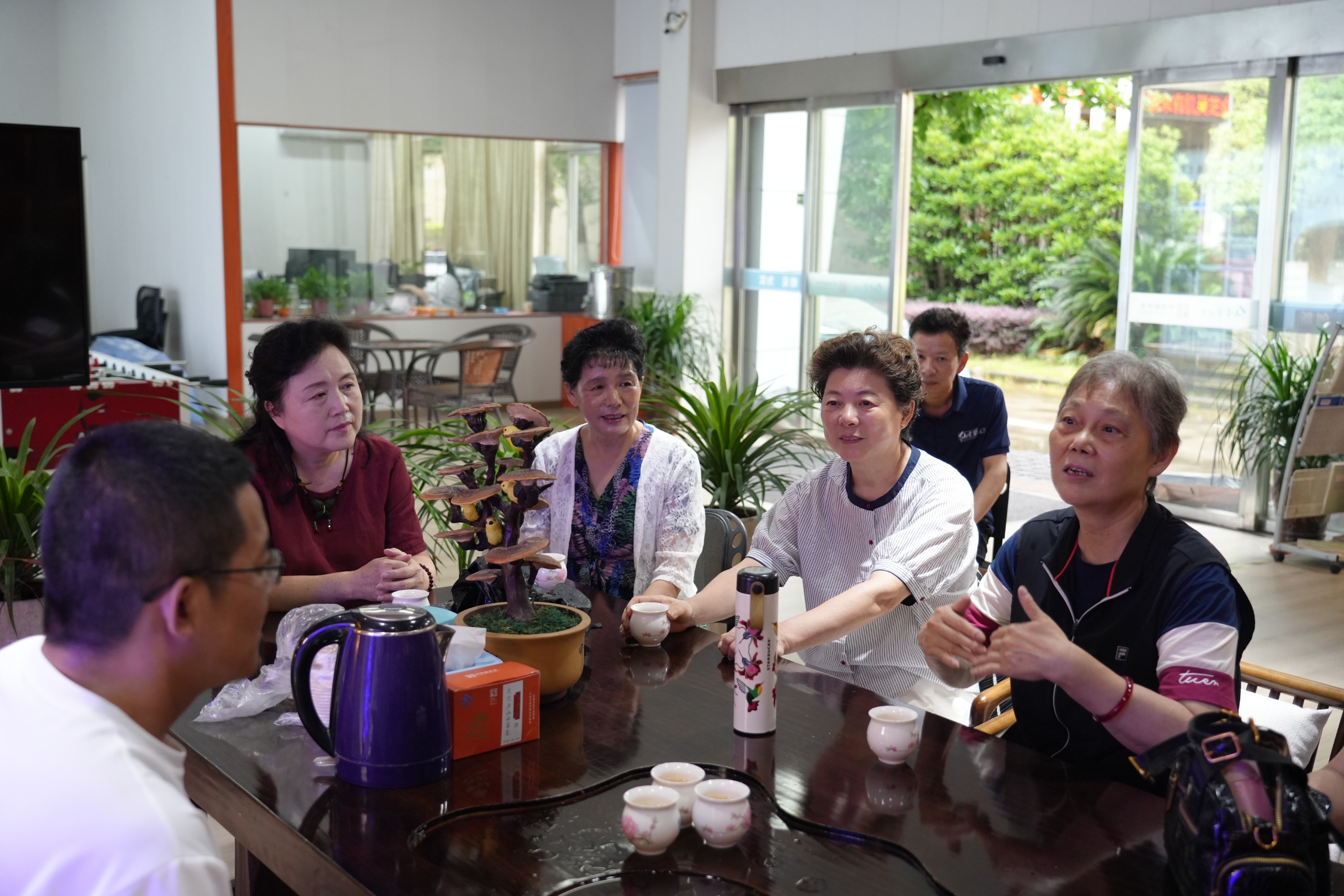 杭州亞運會官方靈芝產(chǎn)品供應商|杭州亞運會官方供應商|中國靈芝十大品牌|仙客來靈芝|仙客來靈芝破壁孢子粉|仙客來孢子油|仙客來靈芝飲片|仙客來破壁孢子粉|靈芝孢子油|孢子粉|靈芝破壁孢子粉|靈芝|中華老字號