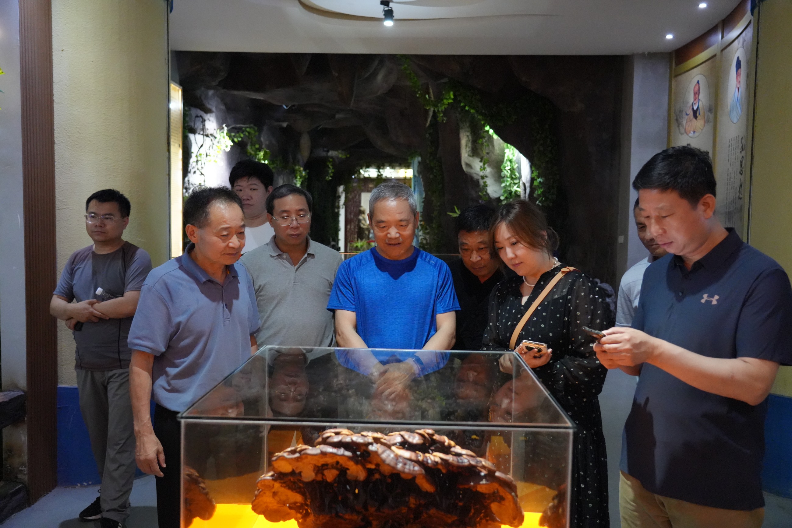 杭州亞運(yùn)會官方靈芝產(chǎn)品供應(yīng)商|杭州亞運(yùn)會官方供應(yīng)商|中國靈芝十大品牌|仙客來靈芝|仙客來靈芝破壁孢子粉|仙客來孢子油|仙客來靈芝飲片|仙客來破壁孢子粉|靈芝孢子油|孢子粉|靈芝破壁孢子粉|靈芝|中華老字號