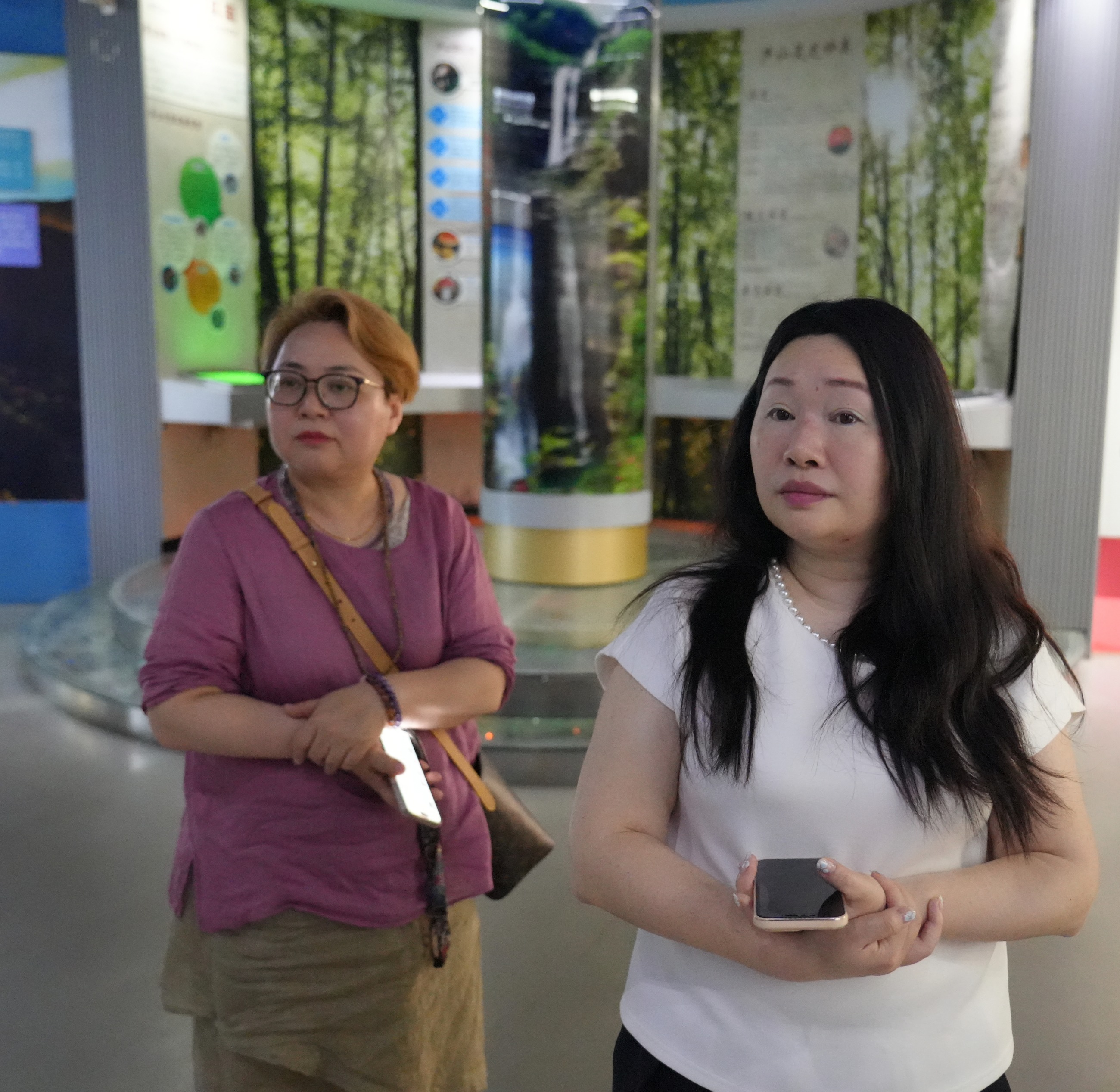 杭州亞運(yùn)會(huì)官方靈芝產(chǎn)品供應(yīng)商|杭州亞運(yùn)會(huì)官方供應(yīng)商|中國(guó)靈芝十大品牌|仙客來(lái)靈芝|仙客來(lái)靈芝破壁孢子粉|仙客來(lái)孢子油|仙客來(lái)靈芝飲片|仙客來(lái)破壁孢子粉|靈芝孢子油|孢子粉|靈芝破壁孢子粉|靈芝|中華老字號(hào)