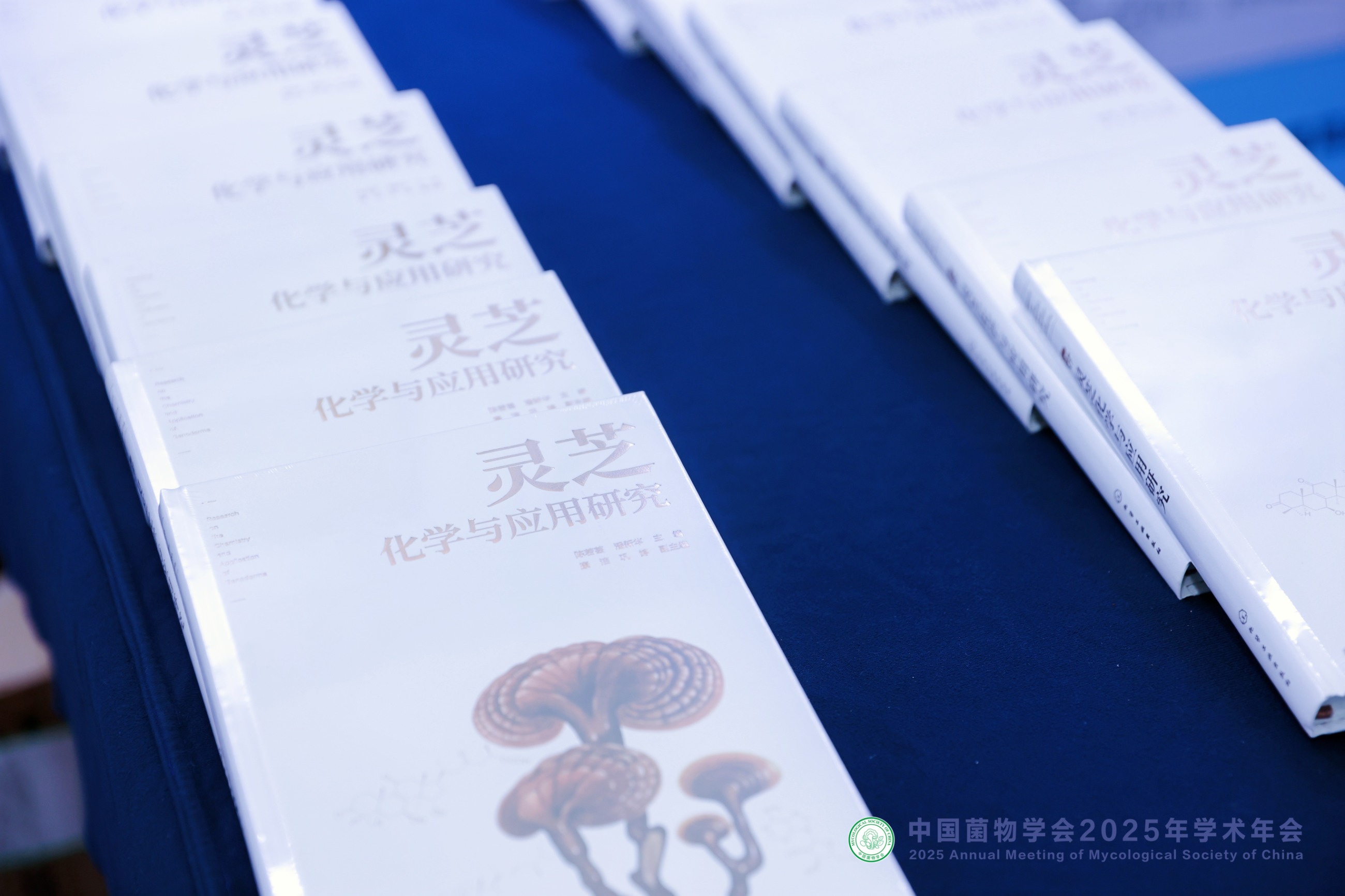 杭州亞運會官方靈芝產(chǎn)品供應(yīng)商|杭州亞運會官方供應(yīng)商|中國靈芝十大品牌|仙客來靈芝|仙客來靈芝破壁孢子粉|仙客來孢子油|仙客來靈芝飲片|仙客來破壁孢子粉|靈芝孢子油|孢子粉|靈芝破壁孢子粉|靈芝|中華老字號 杭州亞運會官方靈芝產(chǎn)品供應(yīng)商|杭州亞運會官方供應(yīng)商|中國靈芝十大品牌|仙客來靈芝|仙客來靈芝破壁孢子粉|仙客來孢子油|仙客來靈芝飲片|仙客來破壁孢子粉|靈芝孢子油|孢子粉|靈芝破壁孢子粉|靈芝|中華老字號