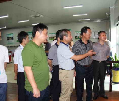 德安縣委、人大、政協(xié)領(lǐng)導(dǎo)考察仙客來公司