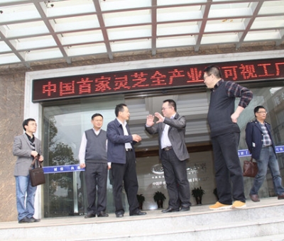 江西省國(guó)稅局領(lǐng)導(dǎo)蒞臨仙客來指導(dǎo)出口創(chuàng)匯工作