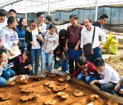 九江學(xué)院師生在仙客來公司舉行實(shí)踐活動