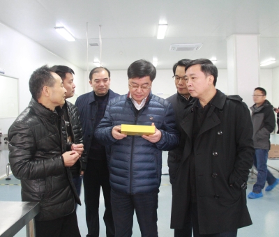 江西省檢察院黨組成員、副檢察長徐勝平一行來公司走訪調(diào)研