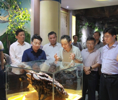 &ldquo;降成本，優(yōu)環(huán)境&rdquo;助企業(yè)騰飛&mdash;&mdash;江西省政協(xié)副主席率團(tuán)調(diào)研仙客來！