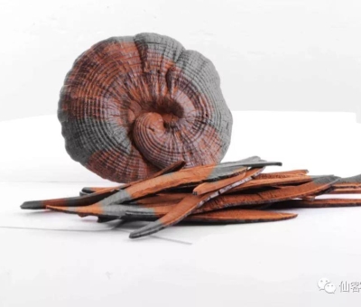 先，鮮，仙，一杯飲盡天下鮮。