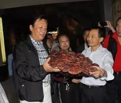 這樣過(guò)三月才是人生贏家！