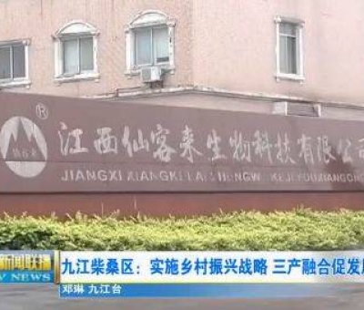 中國人只需要“別具”，缺失了“匠心”！