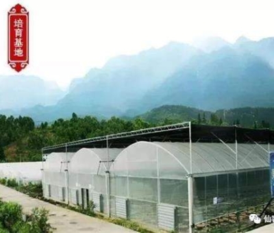 春暖花開  疫情散去  廬山邀請欣賞大自然美好風(fēng)光