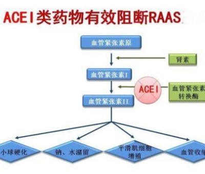 不吃藥，能降低高血壓？