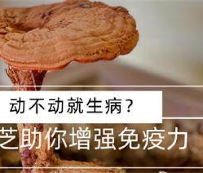 年齡增長(zhǎng)免疫力降低  合理預(yù)防別給疾病可乘之機(jī)