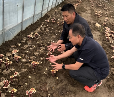 助力少數(shù)民族地區(qū)發(fā)展！潘新華應(yīng)邀前往西藏拉薩市和林芝市 共商產(chǎn)業(yè)發(fā)展良策